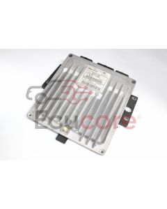 DELPHI 28256130 81403A 8200911560 87834901LDG DCM1.2
