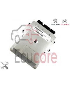 ECU PSA (CITROEN / PEUGEOT) DCU-102 SW 9663289080 VISTEON HW 9661256980 REMANUFACTURADA PLUG&PLAY: MONTAR Y ARRANCAR